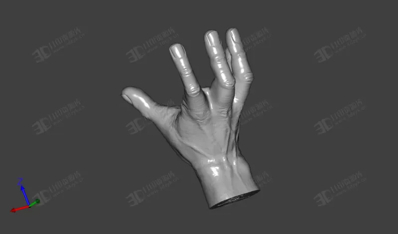 非常逼真的一只手 手掌 (2)